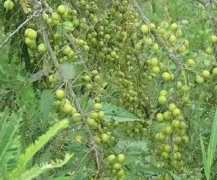 海南,热带天堂的绚丽画卷