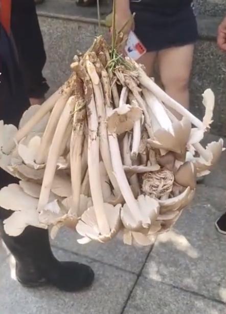 贵州，践行绿色发展的生态文明样板