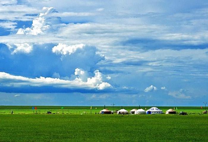 呼伦贝尔,草原之韵与生态之旅的探索