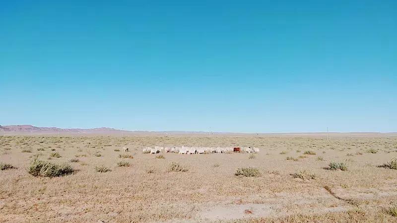 巴彦淖尔,草原之魂,未来繁荣之都展望