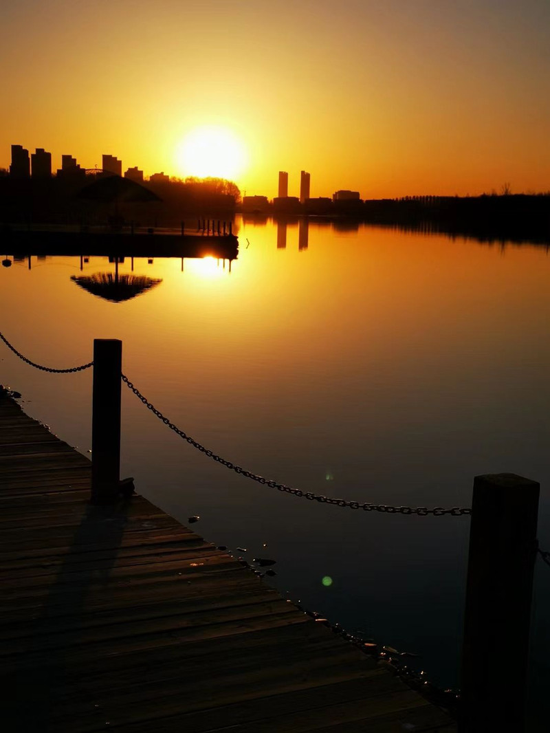 朝阳，从黎明到辉煌的壮丽之旅